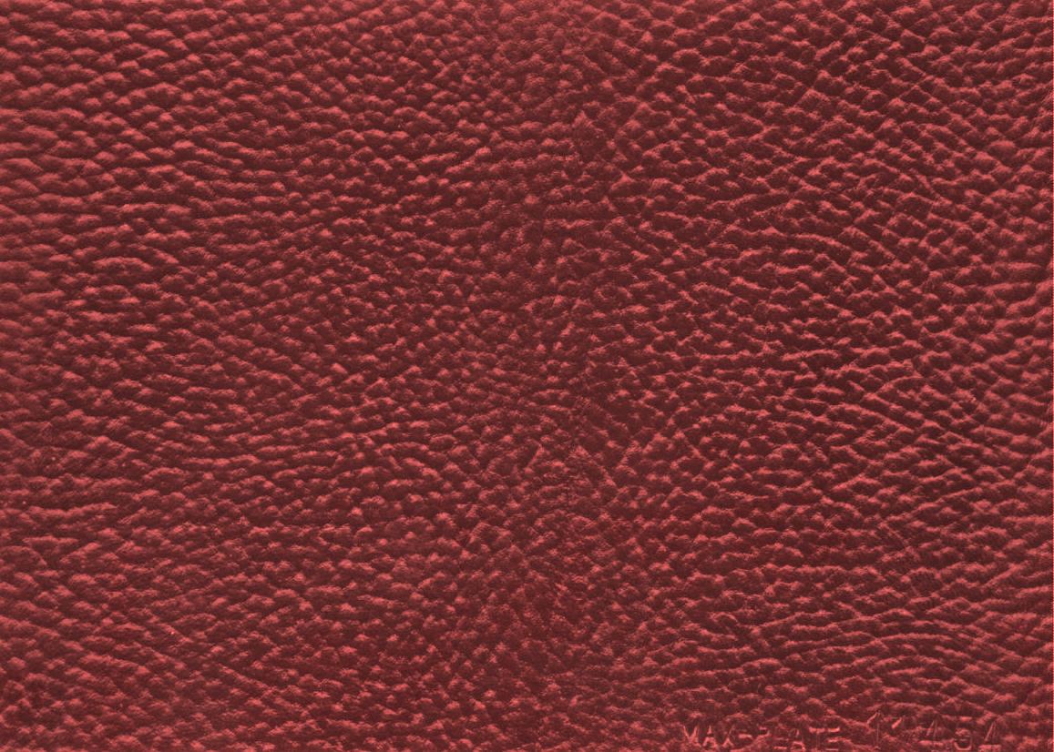 Assumenda accus antium